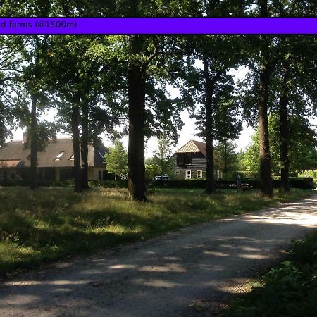 Jaguars Residence Eindhoven Bagian luar foto